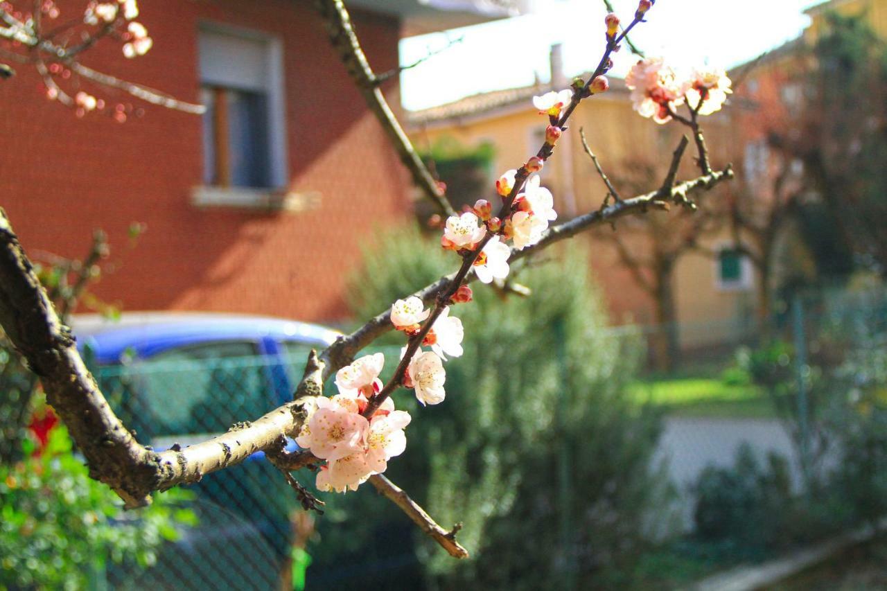 Hiwya - Home Is Where You Are Bologna Exterior foto